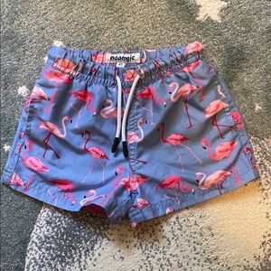 Blue Flamingo Print Swim Shorts